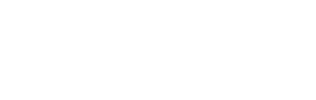 Torch Team